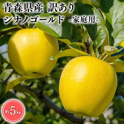 6月発送　訳あり　家庭用　甚八りんごシナノゴールド5kg　【マルジンサンアップル】