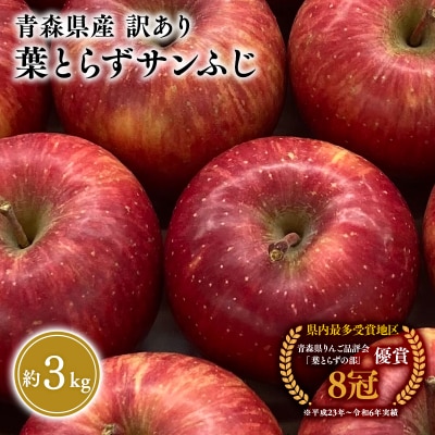 【1～3月】 訳あり葉とらず サンふじ約3kg 【岩渕農園】