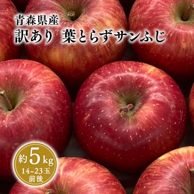 1~3月 訳あり 葉とらず サンふじ 家庭用 約5kg 【岩渕農園・平川市産・青森りんご・1月・2月