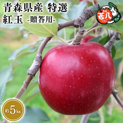 10月発送　特選　甚八りんご紅玉5kg　【マルジンサンアップル】