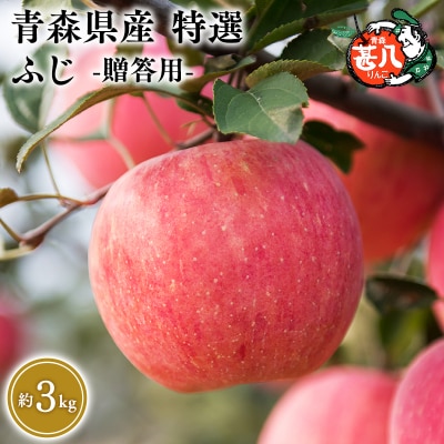 5～7月発送　特選　甚八りんごふじ3kg　【マルジンサンアップル】