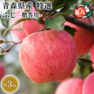 5～7月発送　特選　甚八りんごふじ3kg　【マルジンサンアップル】