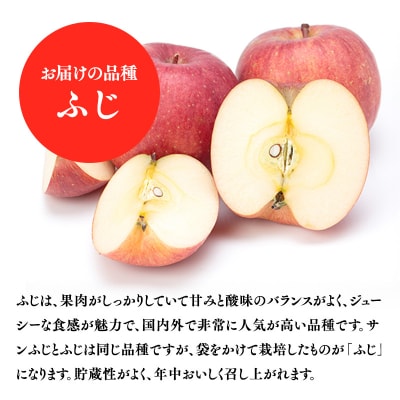 5～7月発送　特選　甚八りんごふじ3kg　【マルジンサンアップル】