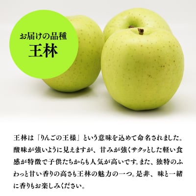 【1～4月発送】青森県産 特選 甚八りんご 王林 3kg 【マルジンサンアップル】青森