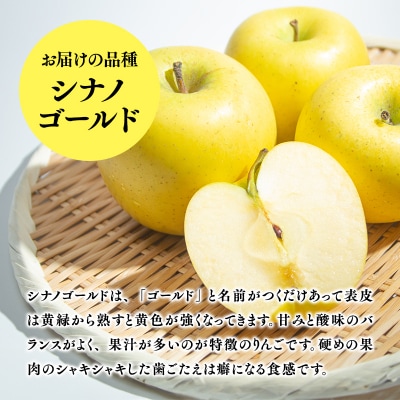 6月発送　特選　甚八りんごシナノゴールド3kg　【マルジンサンアップル】