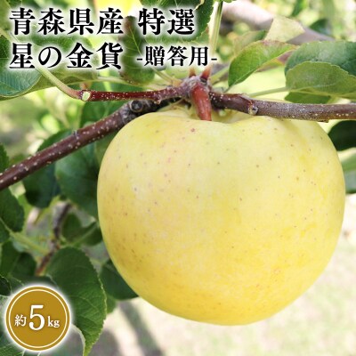 11月発送　特選　甚八りんご星の金貨5kg　【マルジンサンアップル】