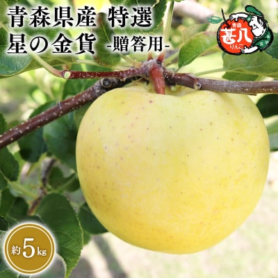 11月発送　特選　甚八りんご星の金貨5kg　【マルジンサンアップル】