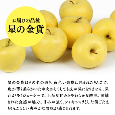 11月発送　特選　甚八りんご星の金貨5kg　【マルジンサンアップル】