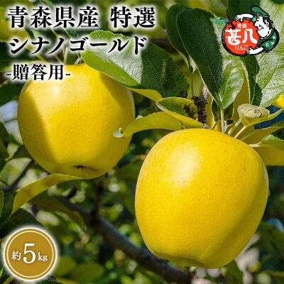 6月発送　特選　甚八りんごシナノゴールド5kg　【マルジンサンアップル】