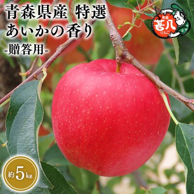 11月発送　特選　甚八りんごあいかの香り5kg　【マルジンサンアップル】