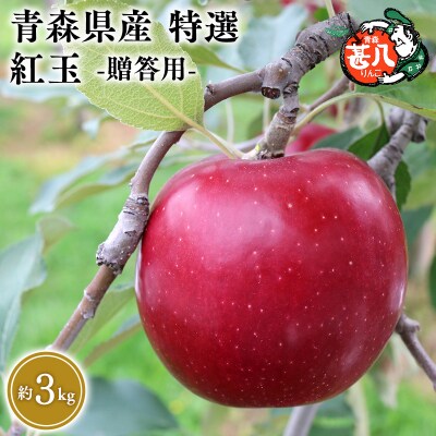 10月発送　特選　甚八りんご紅玉3kg　【マルジンサンアップル】
