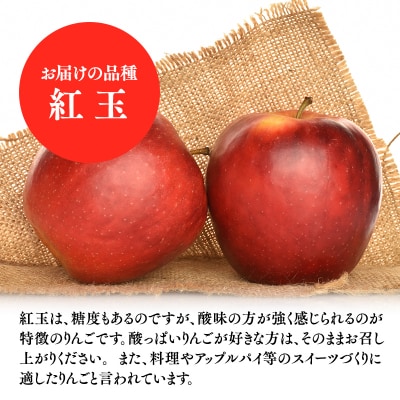 10月発送　特選　甚八りんご紅玉3kg　【マルジンサンアップル】