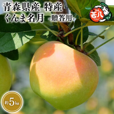 11月発送　特選　甚八りんごぐんま名月5kg　【マルジンサンアップル】