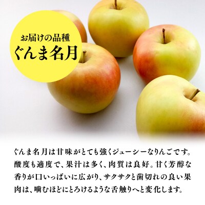 11月発送　特選　甚八りんごぐんま名月5kg　【マルジンサンアップル】