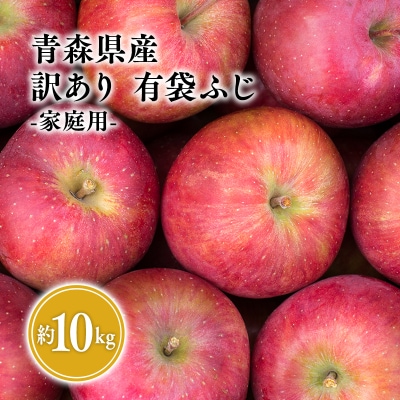 2025年4月～6月　発送【訳あり】家庭用有袋ふじ約10kg【有袋ふじ・りんご・青森・平川・家庭用】