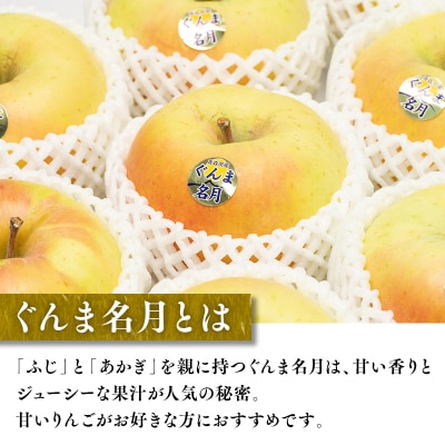 11～12月 贈答用 キラ農法 特選クラス 完熟りんご ぐんま名月約3kg 【平川市広船産】