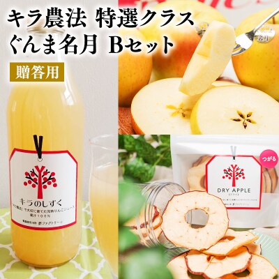 11～12月 贈答用 キラ農法 特選クラス 完熟りんご ぐんま名月Bセット 【平川市広船産】