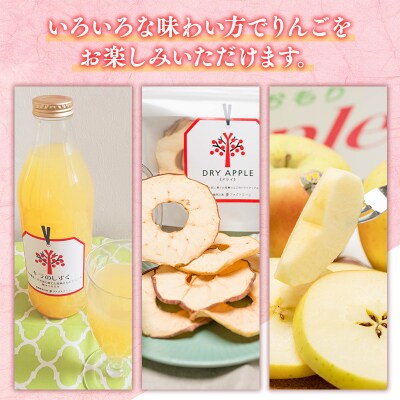 11～12月 贈答用 キラ農法 特選クラス 完熟りんご ぐんま名月Bセット 【平川市広船産】