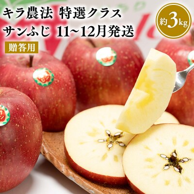 11～12月 贈答用 キラ農法 特選クラス 完熟りんご サンふじ約3kg 【平川市広船産】
