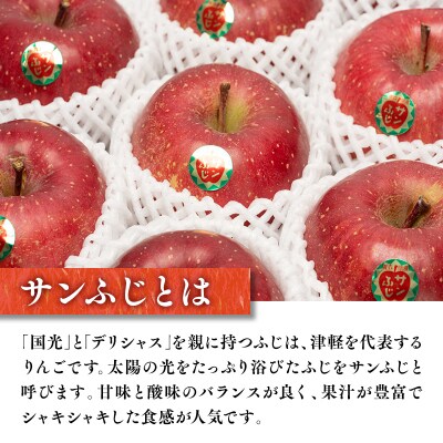 11～12月 贈答用 キラ農法 特選クラス 完熟りんご サンふじ約3kg 【平川市広船産】