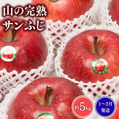 【1~2月発送】 吹田りんご園 山の完熟サンふじ約5kg 【青森りんご・平川市広船産】