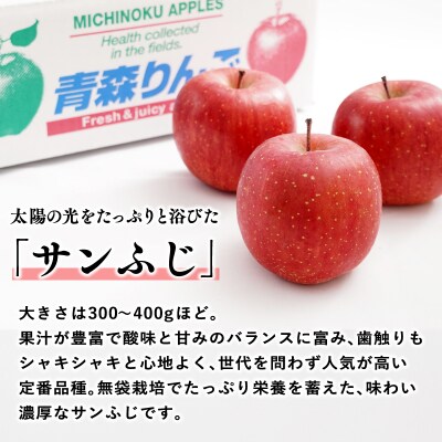 【1~2月発送】 吹田りんご園 山の完熟サンふじ約5kg 【青森りんご・平川市広船産】