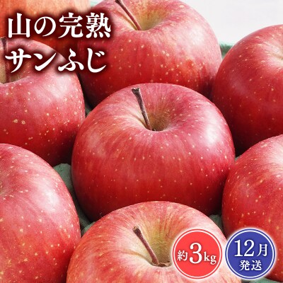 【12月発送】吹田りんご園 山の完熟サンふじ約3kg 　【青森りんご・平川市広船産】