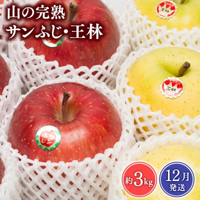 【2026年12月発送】 吹田りんご園　山の完熟サンふじ・王林約3kg【青森りんご・平川市広船産】