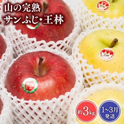 【1~3月発送】 吹田りんご園　山の完熟サンふじ・王林約3kg【青森りんご・平川市広船産】