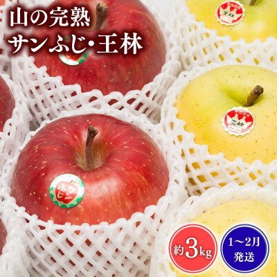 【1~2月発送】 吹田りんご園　山の完熟サンふじ・王林約3kg【青森りんご・平川市広船産】