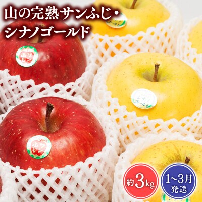 【1~3月発送】 吹田りんご園 山の完熟サンふじ・シナノゴールド約3kg 【平川市広船産】