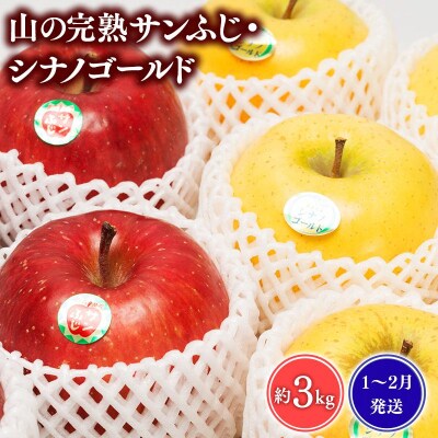 【1~2月発送】 吹田りんご園 山の完熟サンふじ・シナノゴールド約3kg 【平川市広船産】