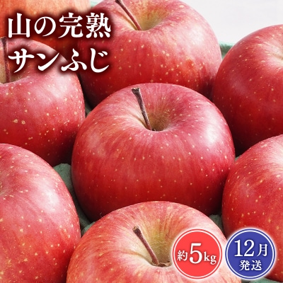 【12月発送】 吹田りんご園 山の完熟サンふじ約5kg 【青森りんご・平川市広船産】
