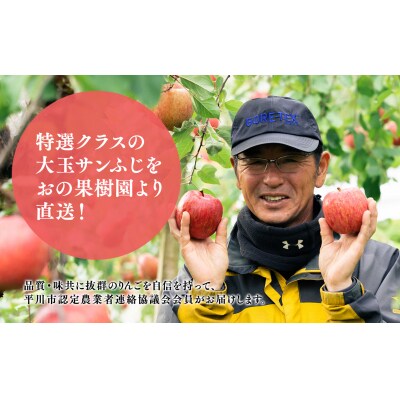 12月発送  premiumサンふじ 5個(約2kg) 厳選大玉 【おの果樹園・青森りんご】