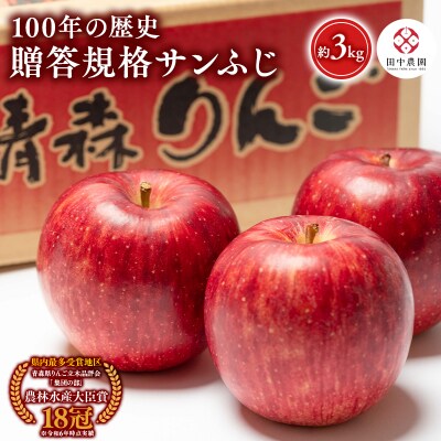 12月 100年の歴史 贈答規格サンふじ 約3kg【田中農園・青森県平川市産・青森りんご】