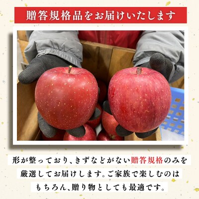 12月 100年の歴史 贈答規格サンふじ 約3kg【田中農園・青森県平川市産・青森りんご】