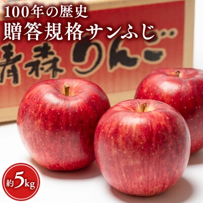 12月 100年の歴史 贈答規格サンふじ 約5kg【田中農園・青森県平川市産・青森りんご】