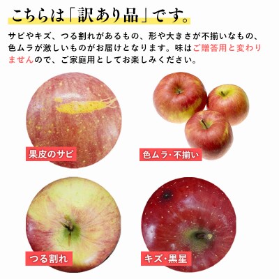 12月 100年の歴史 訳あり 家庭用サンふじ 約3kg【田中農園・青森県平川市産・青森りんご】