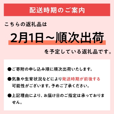 歳末限定!糖度選別 特Aサンふじ約5kg 糖度13度以上選別!津軽平川市産