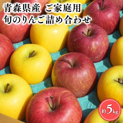 11月～4月発送 【訳あり】旬のりんご詰め合わせ5㎏【りんご・青森県平川市産・訳あり・家庭用】