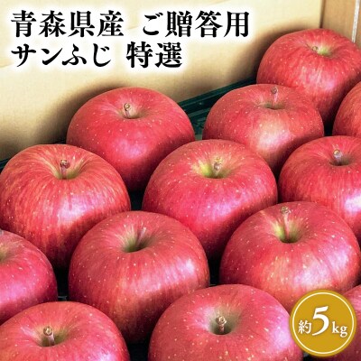 11月～4月発送 【特選】サンふじ5㎏【りんご・青森県平川市産・特選】