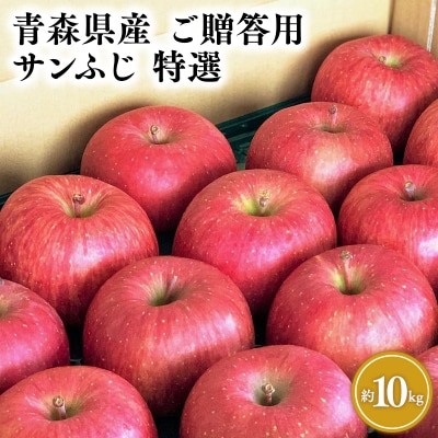 11月～4月発送 【特選】サンふじ10㎏【りんご・青森県平川市産・特選】