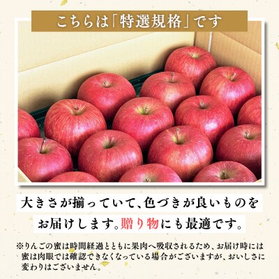 11月～4月発送 【特選】サンふじ10㎏【りんご・青森県平川市産・特選】