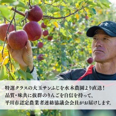 年明け premiumサンふじ 5個(約2kg) 厳選大玉 【水木農園・青森りんご・平川市産・1月】