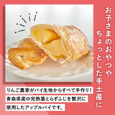 りんご農家の手作りアップルパイ120g×7本 【そとかわ農園】