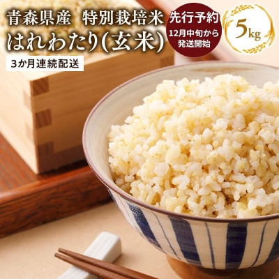 【令和8年産  配送時期:2026年12月中旬～】3ヶ月定期便特別栽培米 はれわたり玄米5kg