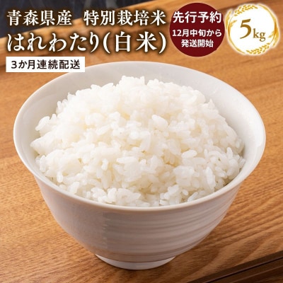 【令和8年産  配送時期:2026年12月中旬～】3ヶ月定期便特別栽培米 はれわたり白米5kg