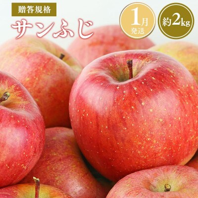 【令和8年産先行受付】令和9年1月発送 贈答規格サンふじ約2kg【青森県平川市産・青森りんご】