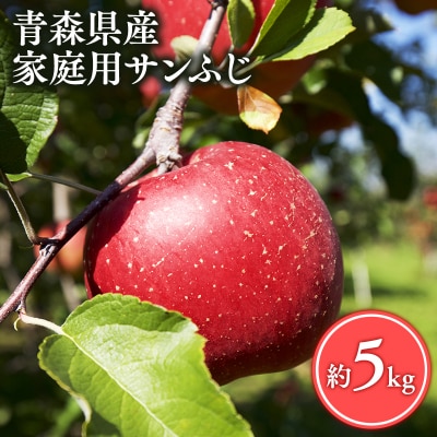 【4月発送】家庭用サンふじ5kg【丸勝木村商店・青森りんご】
