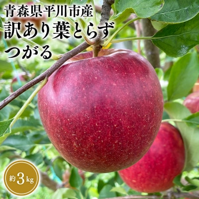 8月下旬～発送　 訳あり 葉取らずつがる約3kg(家庭用)【なるみ農園・平川市産・数量限定】